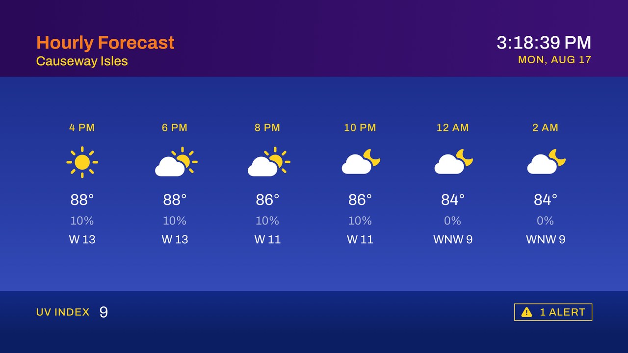 Hourly Forecast segment