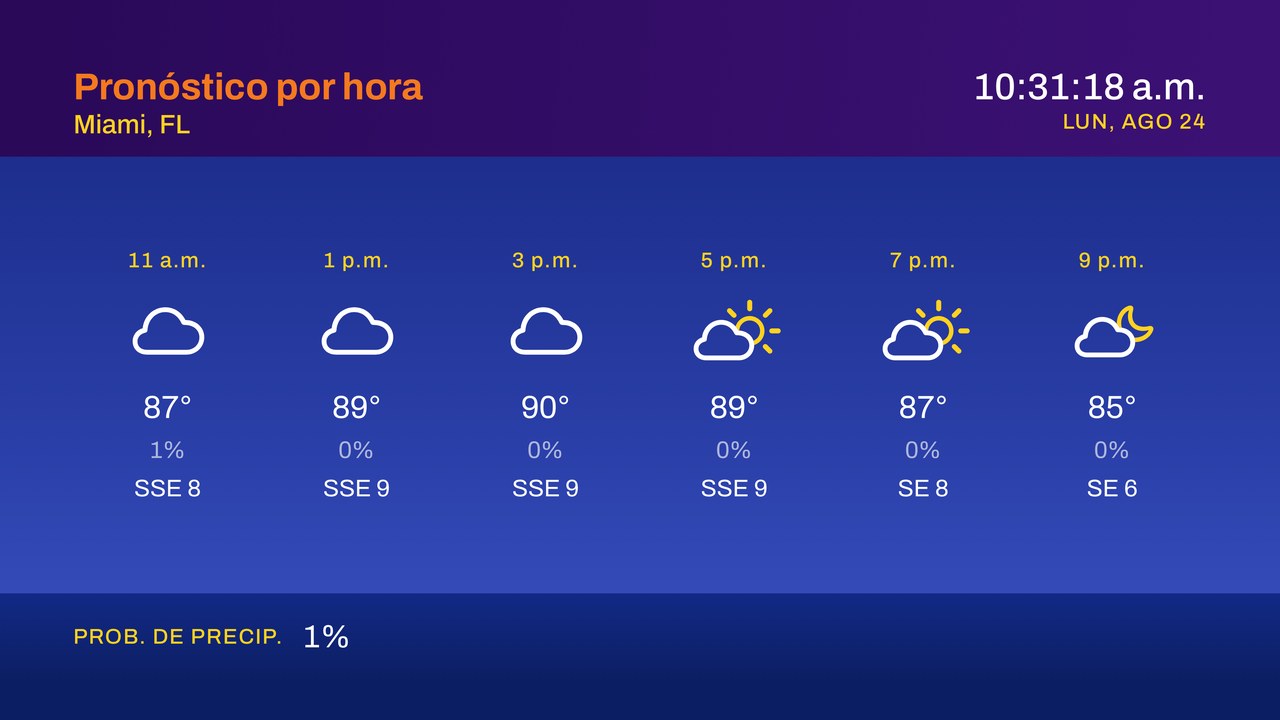 Segmento Pronóstico por hora